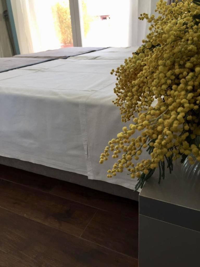 Amberyellowbnb Shkoder Ngoại thất bức ảnh